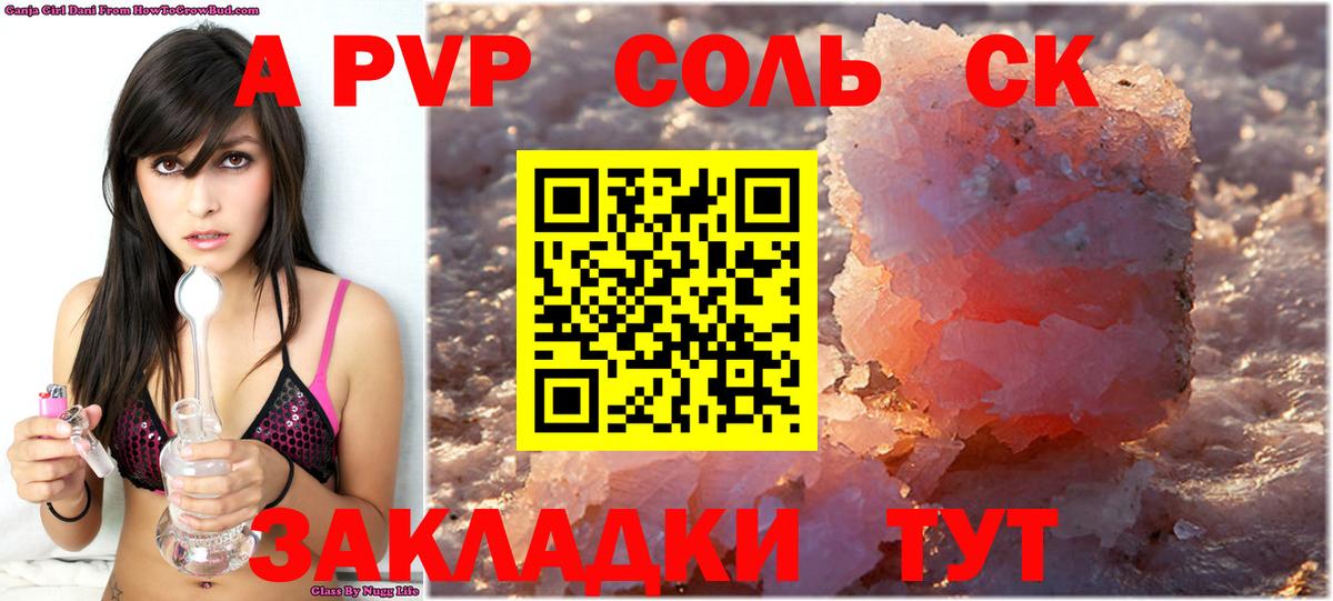 A PVP СК Вышний Волочёк
