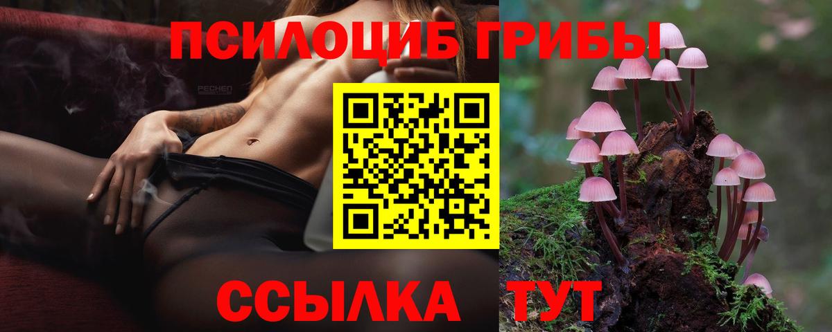 Галлюциногенные грибы прущие грибы  Вход с VPN  Вышний Волочёк 