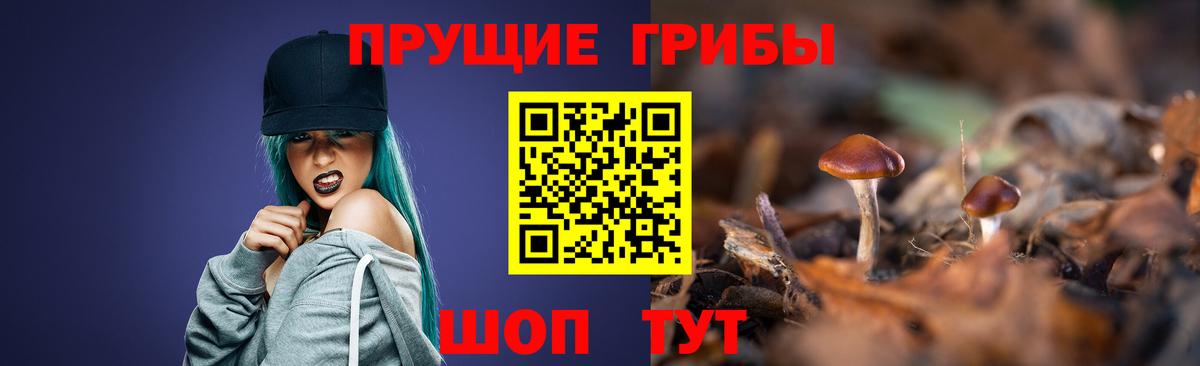 Псилоцибиновые грибы прущие грибы Вышний Волочёк